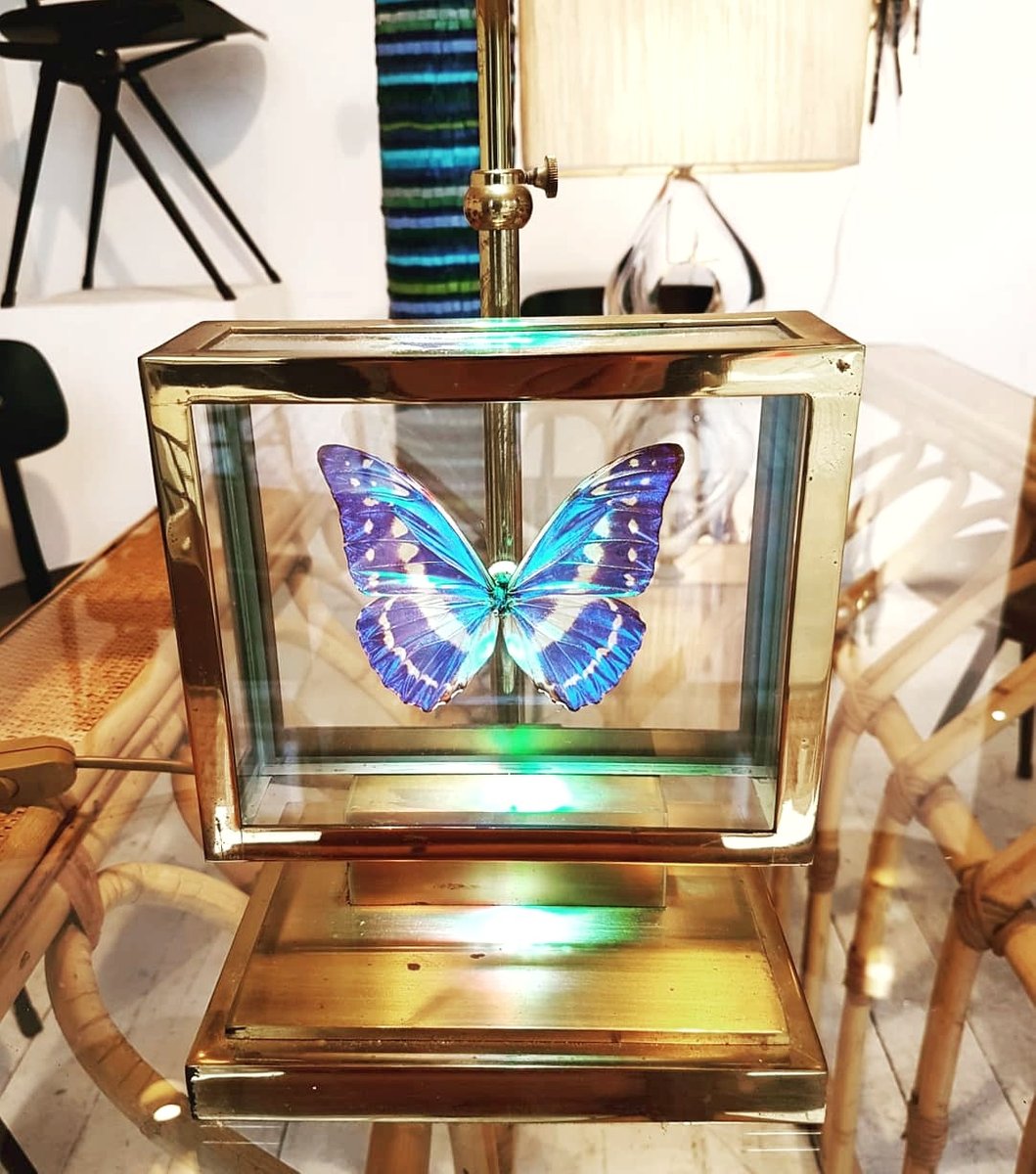 French Gilt Brass Window Box and Exotic Butterfly Table Lamp, 1980s