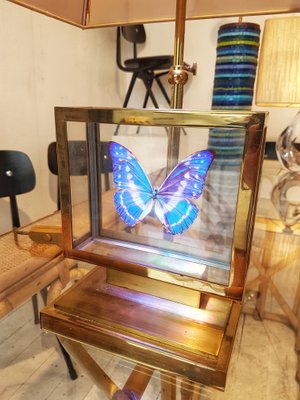 French Gilt Brass Window Box and Exotic Butterfly Table Lamp, 1980s-PCJ-698832