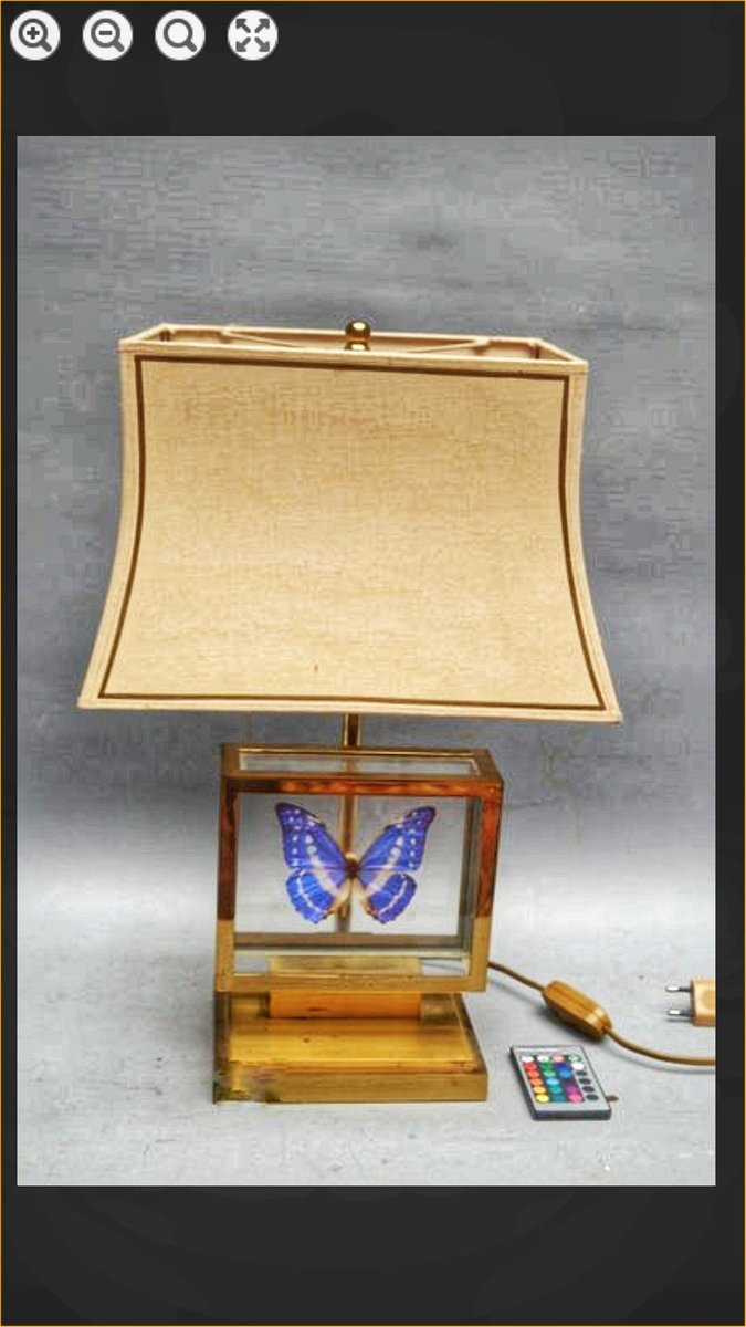 French Gilt Brass Window Box and Exotic Butterfly Table Lamp, 1980s