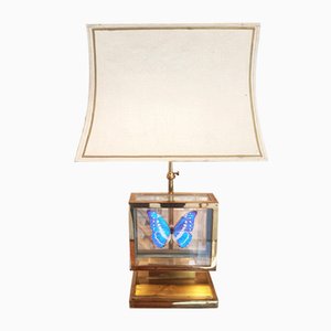 French Gilt Brass Window Box and Exotic Butterfly Table Lamp, 1980s-PCJ-698832