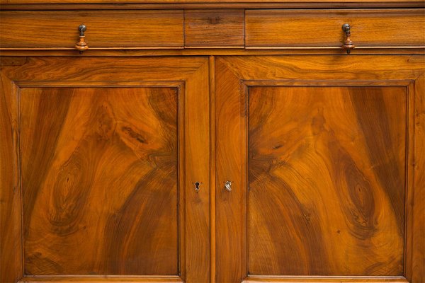 French Louis Philippe 2-Door Cappuccina Sideboard in Walnut, 19th Century-KKK-1796903