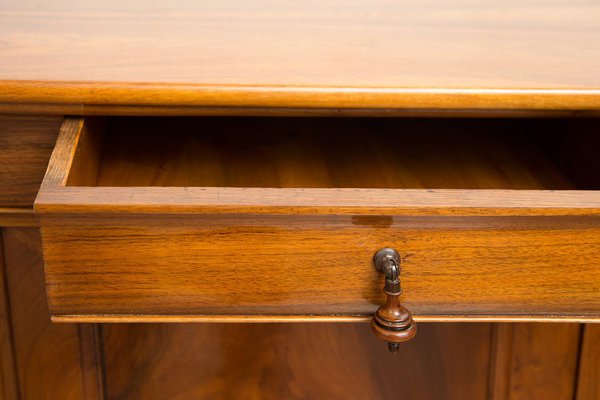 French Louis Philippe 2-Door Cappuccina Sideboard in Walnut, 19th Century-KKK-1796903