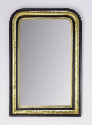 French Louis Philippe Stucco Imitation Wood and Gilding Mirror, 1870s-RIU-1377607