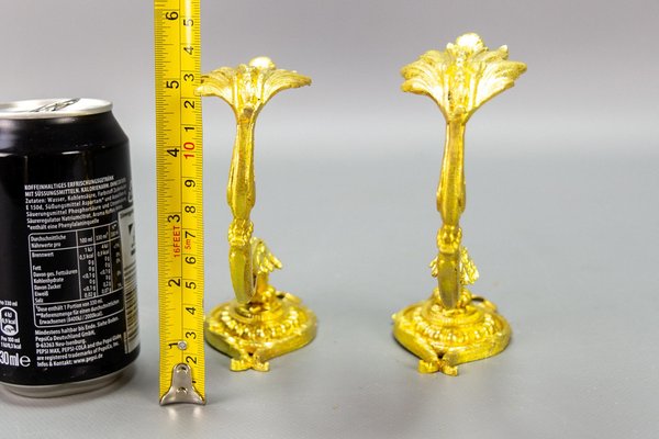 French Louis XIV Style Gilt Bronze Curtain Tiebacks or Curtain Holders, 1920s, Set of 2-KEG-1677801