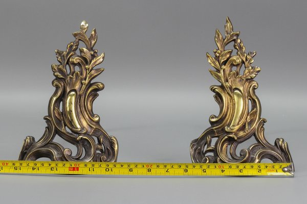 French Louis XV Style Bronze and Iron Firedogs, Set of 2-KEG-1119248