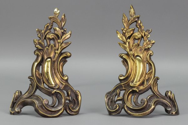 French Louis XV Style Bronze and Iron Firedogs, Set of 2-KEG-1119248