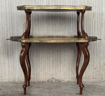 French Mahogany Brass Two-Tier Side Table-PSK-1002757