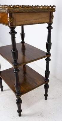 French Napoleon III Brass & Walnut Serving Table or Side Table, 1880-RIU-1259151