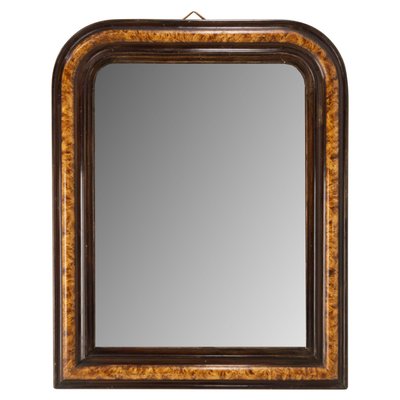 French Napoleon III Burl and Ebony Imitation Stucco Mirror, 1880s-RIU-1375033