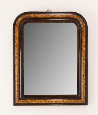 French Napoleon III Burl and Ebony Imitation Stucco Mirror, 1880s-RIU-1375033