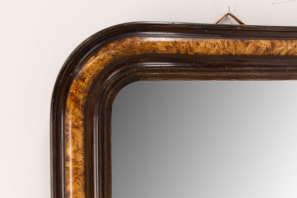 French Napoleon III Burl and Ebony Imitation Stucco Mirror, 1880s-RIU-1375033