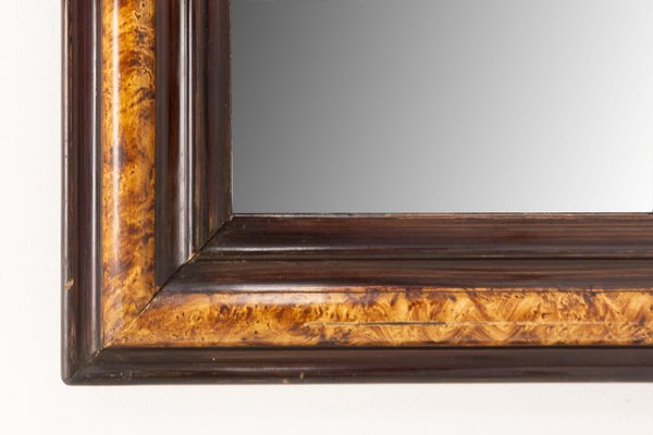 French Napoleon III Burl and Ebony Imitation Stucco Mirror, 1880s-RIU-1375033