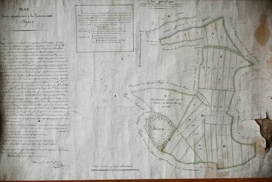 French Plan of 1788, 1825