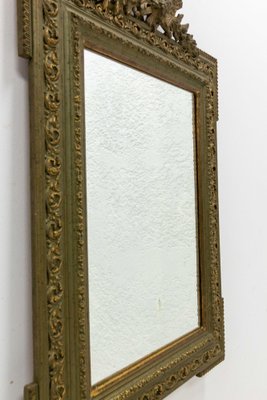 French Stucco Mirror with Bronze Patina Vegetal Patterns, 1890s-RIU-1329284