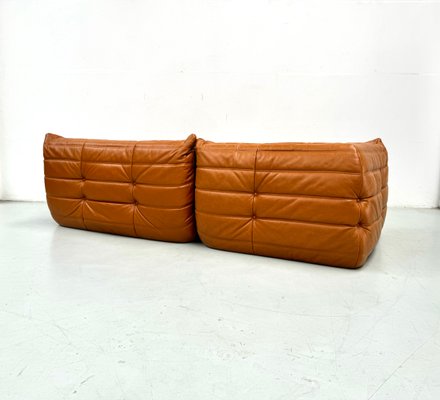 French Togo Living Room Set in Burnt Orange Leather by Michel Ducaroy for Ligne Roset, 1970s, Set of 2-XLZ-2026861