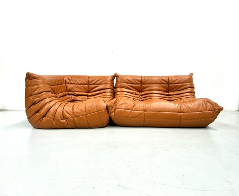 French Togo Living Room Set in Burnt Orange Leather by Michel Ducaroy for Ligne Roset, 1970s, Set of 2-XLZ-2026861