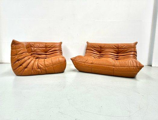 French Togo Living Room Set in Burnt Orange Leather by Michel Ducaroy for Ligne Roset, 1970s, Set of 2-XLZ-2026861