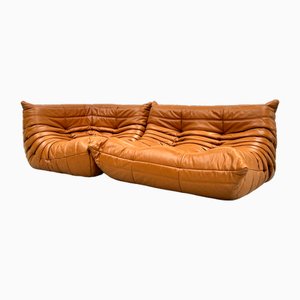 French Togo Living Room Set in Burnt Orange Leather by Michel Ducaroy for Ligne Roset, 1970s, Set of 2-XLZ-2026861