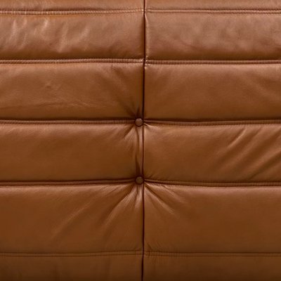 French Togo Sofa in Dark Cognac Leather by Michel Ducaroy for Ligne Roset-XLZ-2028973