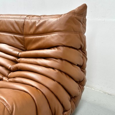 French Togo Sofa in Dark Cognac Leather by Michel Ducaroy for Ligne Roset, 1970s-XLZ-2020033