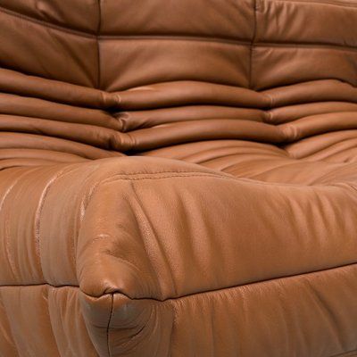 French Togo Sofa in Dark Cognac Leather by Michel Ducaroy for Ligne Roset, 1970s-XLZ-2020033