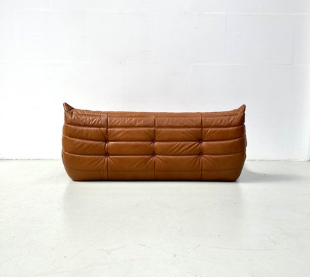 French Togo Sofa in Dark Cognac Leather by Michel Ducaroy for Ligne Roset, 1970s-XLZ-2020033