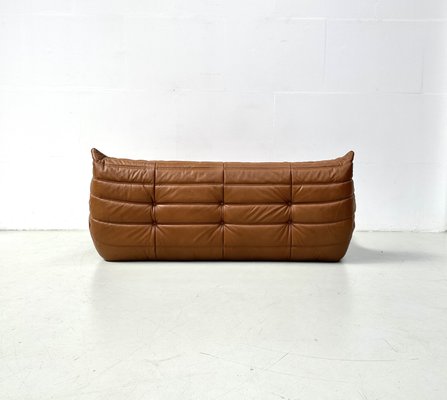 French Togo Sofa in Dark Cognac Leather by Michel Ducaroy for Ligne Roset-XLZ-2028973