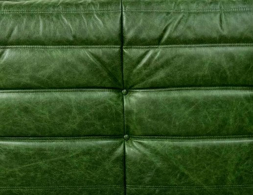 French Togo Three-Seater Sofa in Green Leather by Michel Ducaroy for Ligne Roset-XLZ-2020015