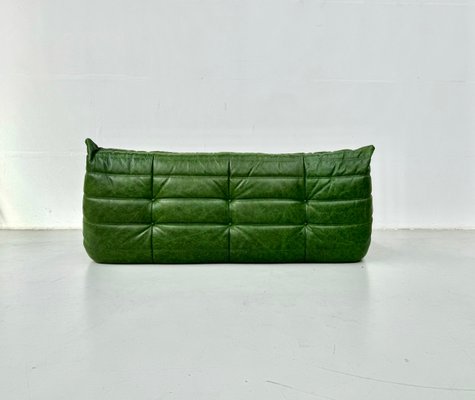 French Togo Three-Seater Sofa in Green Leather by Michel Ducaroy for Ligne Roset-XLZ-2020015