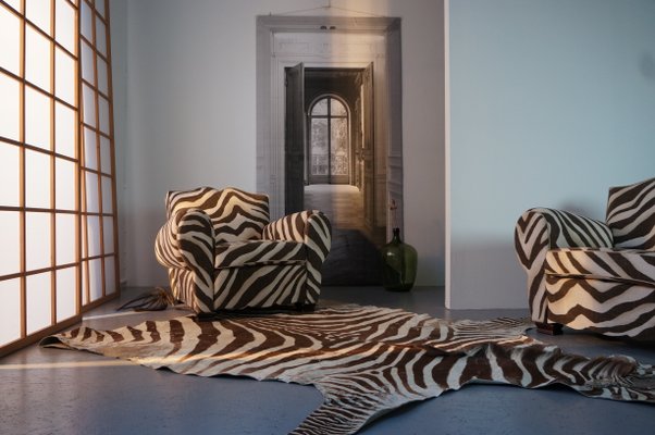 French Zebra Club Chair, 1950s-DKC-762311