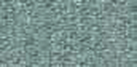 S4G1