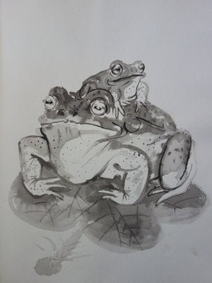 Frogs Drawing by Pierre-Yves Tremois-KHH-542966