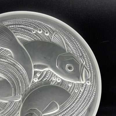 Frosted Pressed Glass Cup with Carp Fish Decoration by Pierre Davesn, 1930s-XOM-2036090