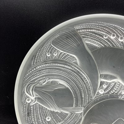 Frosted Pressed Glass Cup with Carp Fish Decoration by Pierre Davesn, 1930s-XOM-2036090