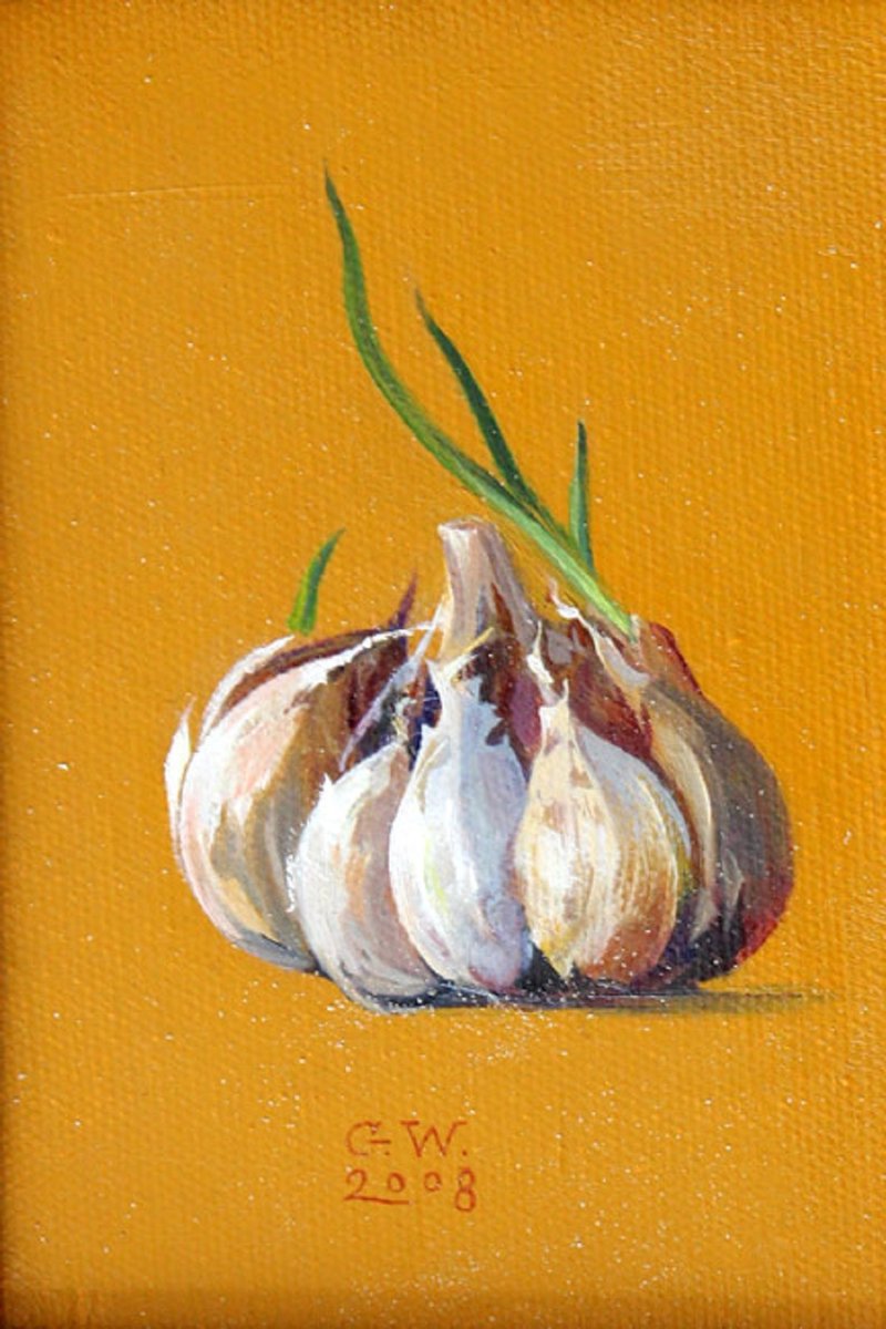 Gabryela Wasowicz, Garlic Ii, 2008, Oil on Canvas