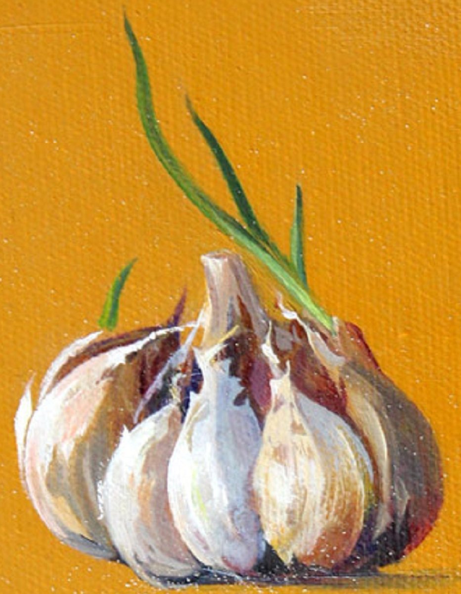 Gabryela Wasowicz, Garlic Ii, 2008, Oil on Canvas