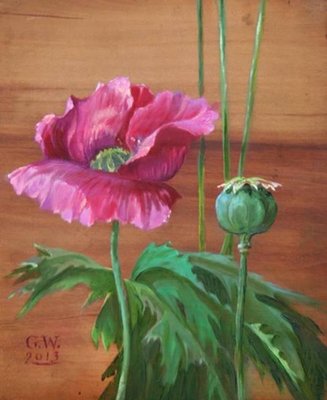 Gabryela Wąsowicz, Pink Poppy, 2013-XHG-927159