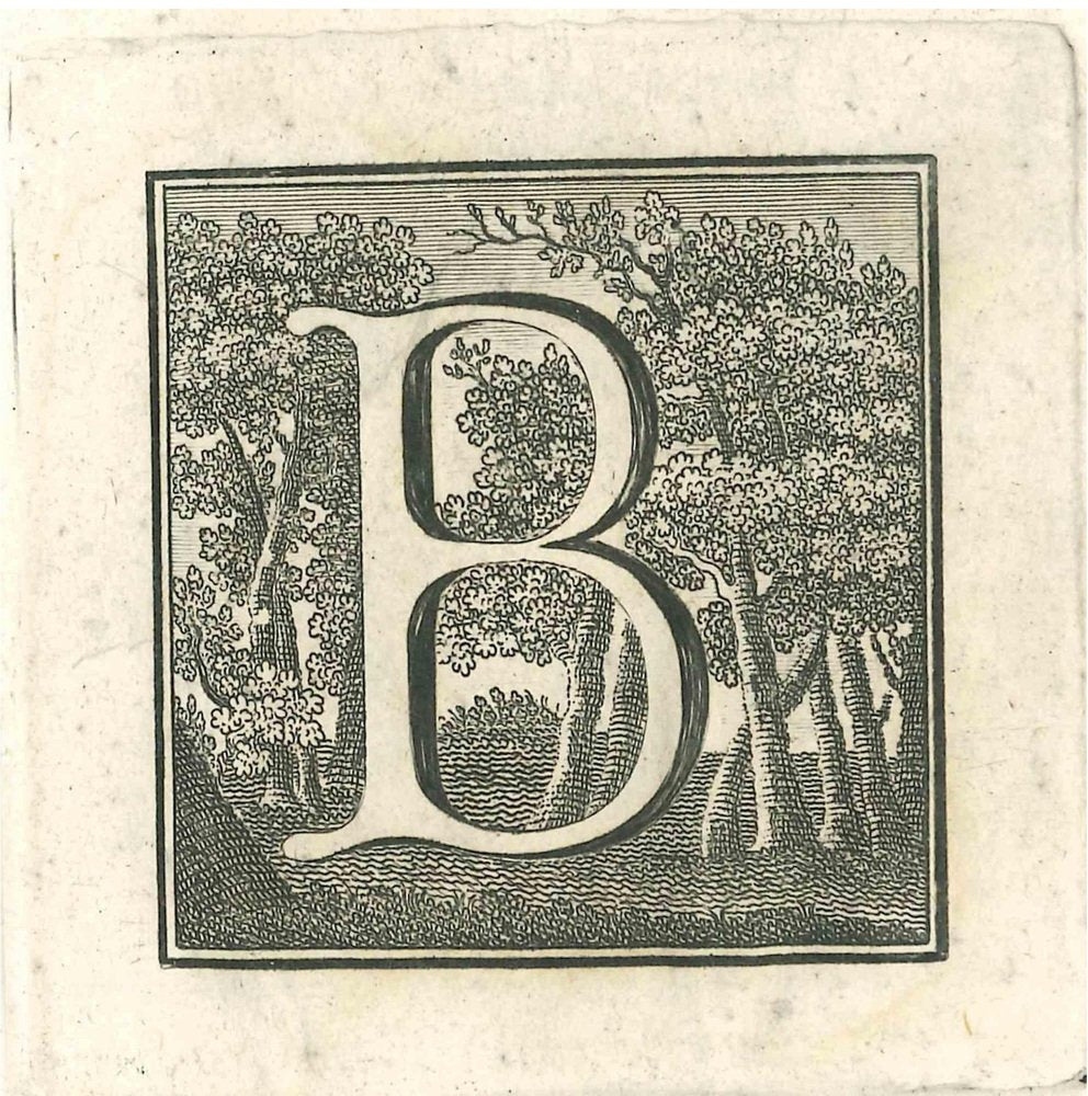 Gaspar Van Wittel (Vanvitelli), Antiquities of Herculaneum Letter B, Etching, 18th Century