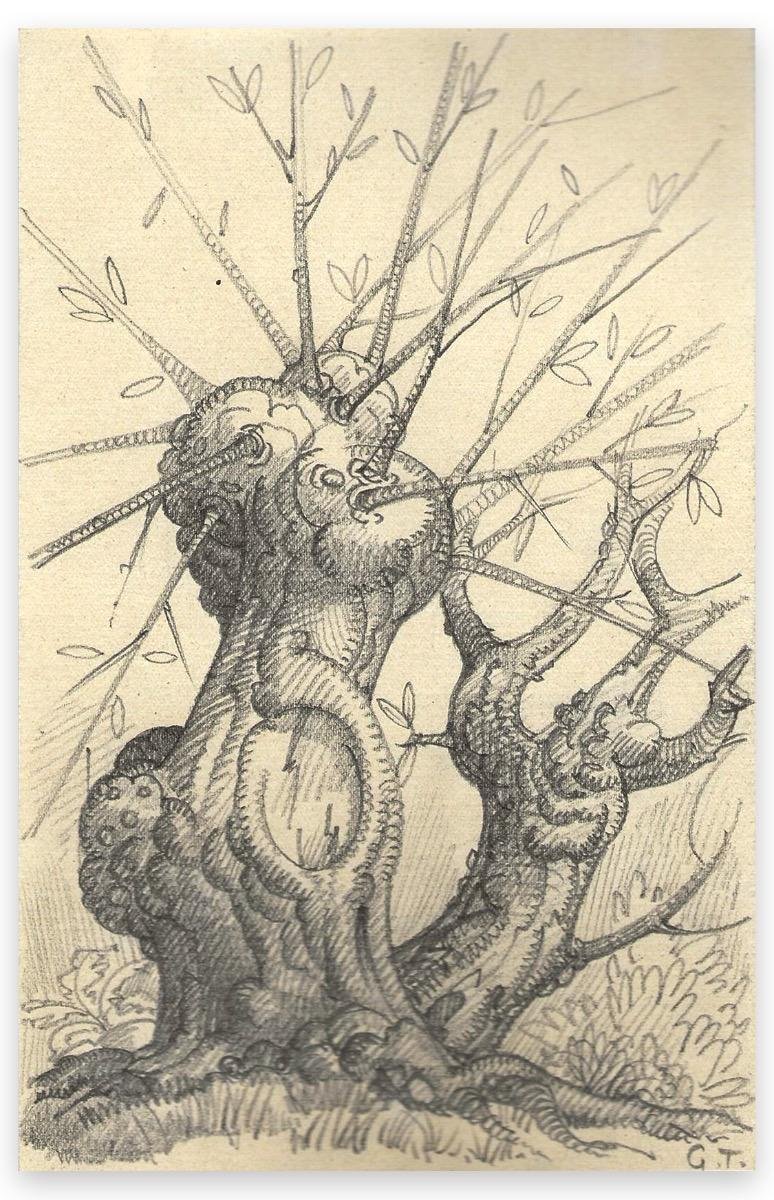 Georges-Henri Tribout, Tree, Pencil Drawing, Early 20th Century