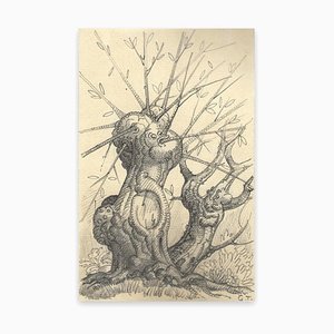 Georges-Henri Tribout, Tree, Pencil Drawing, Early 20th Century-ZCI-871263