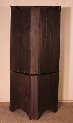 Georgian Corner Cabinet in Mahogany, 18th Century-HPU-953965