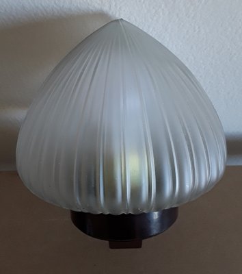 German Art Deco Wall Lamp with Brown Bakelite Mounting & Relief Glass Shade, 1920s-HOI-1415043