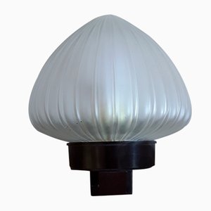 German Art Deco Wall Lamp with Brown Bakelite Mounting & Relief Glass Shade, 1920s-HOI-1415043