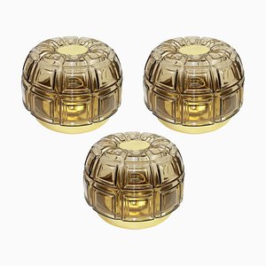 German Brass and Amber Glass Sconces or Flush Mount from Limburg, 1960s, Set of 2-UGR-1086133