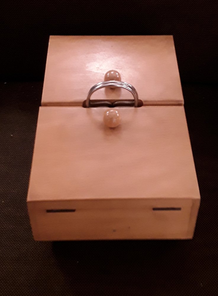 German Foldable Beech Sewing Box with Chrome-Plated Metal Handles, 1950s