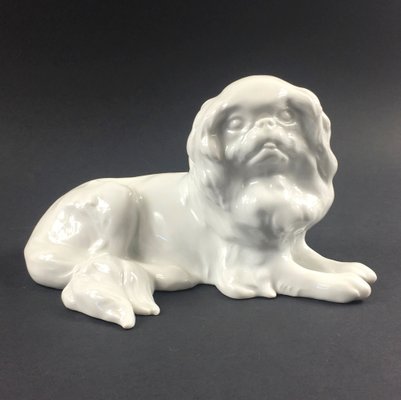 German Japanese Chin Dog Figurine in Porcelain by Erich Hösel for Meissen, 1950s-BMM-1345208