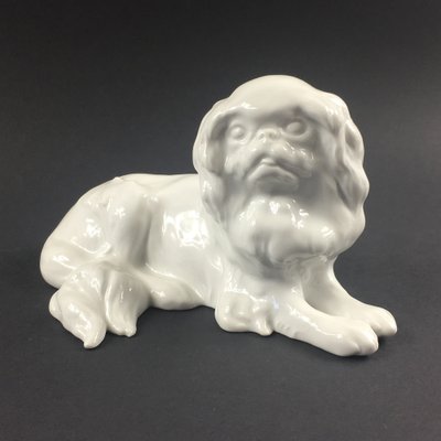 German Japanese Chin Dog Figurine in Porcelain by Erich Hösel for Meissen, 1950s-BMM-1345208