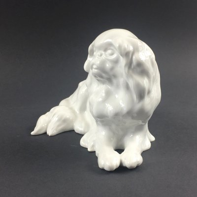 German Japanese Chin Dog Figurine in Porcelain by Erich Hösel for Meissen, 1950s-BMM-1345208