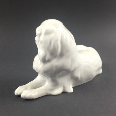 German Japanese Chin Dog Figurine in Porcelain by Erich Hösel for Meissen, 1950s-BMM-1345208