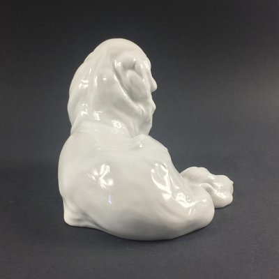 German Japanese Chin Dog Figurine in Porcelain by Erich Hösel for Meissen, 1950s-BMM-1345208